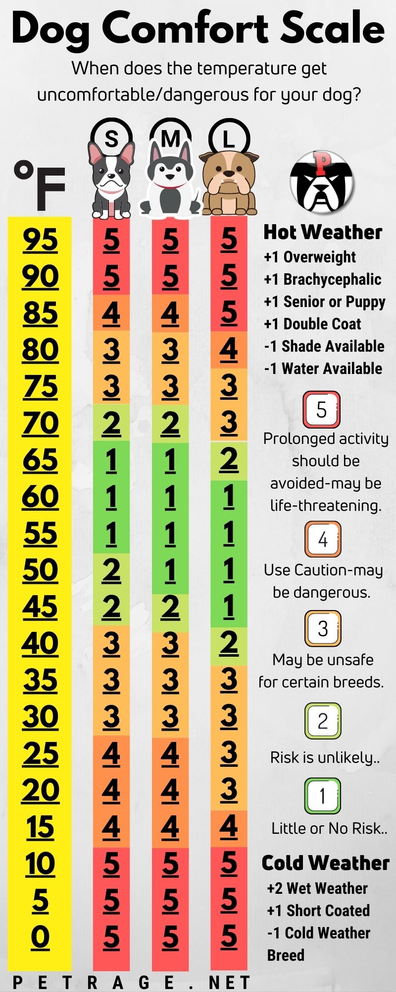 Safe Outdoor Temperatures for Dogs - PETRAGE